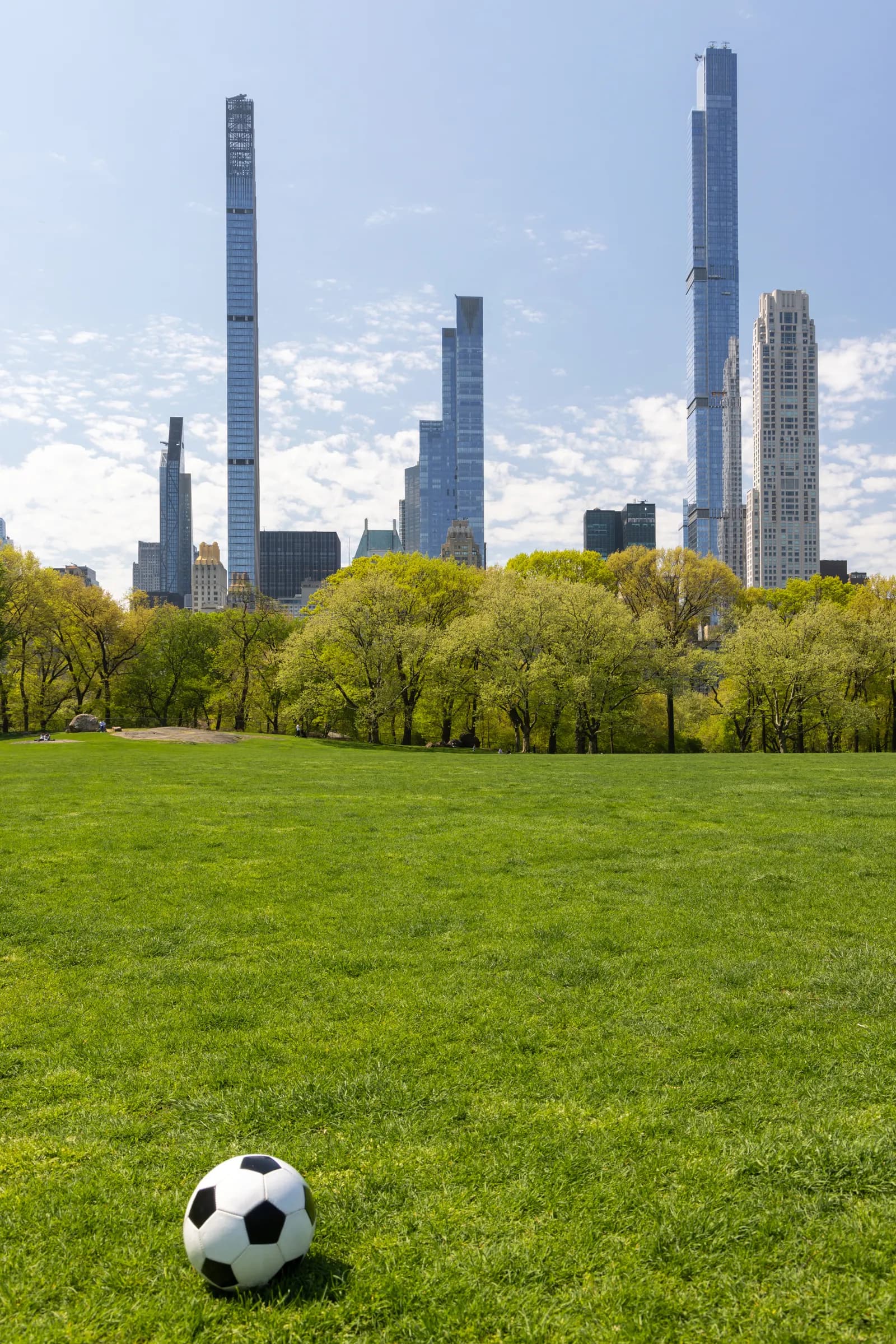 Skyline von Manhattan über dem Central Park